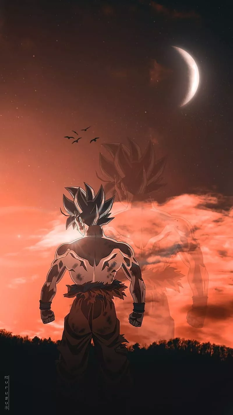 Dragon Ball Z iPhone +