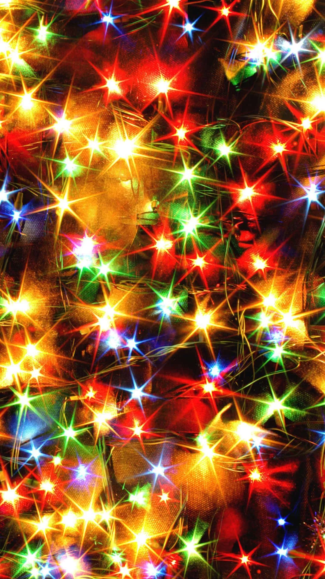 Download A Christmas Tree With Lights