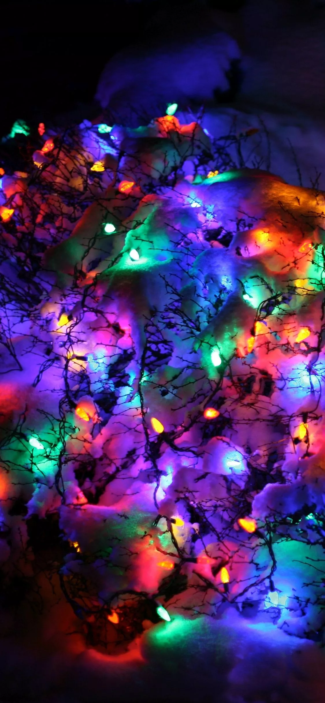 Download Snow Christmas Lights Holiday