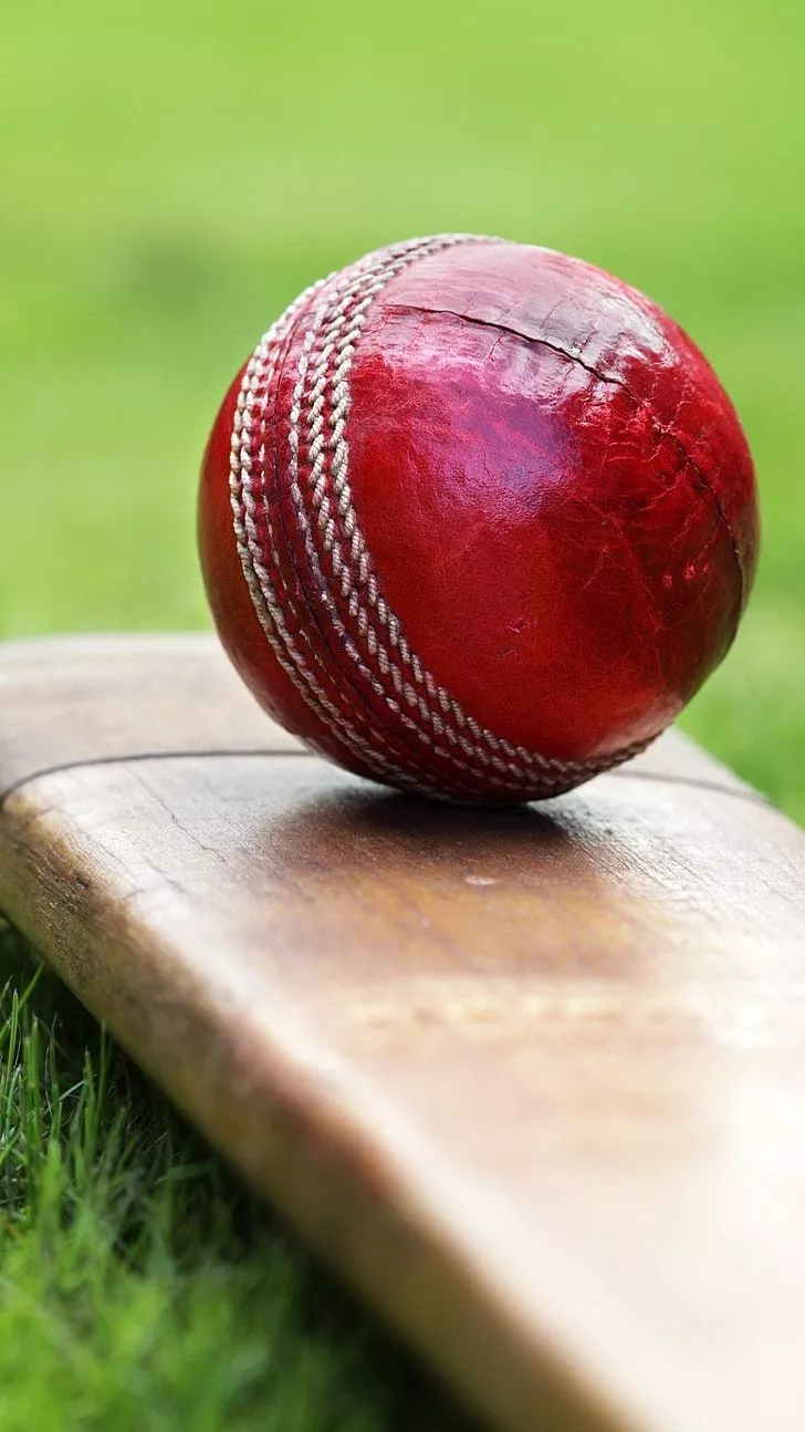 HD wallpaper: Cricket Bat And Ball, red
