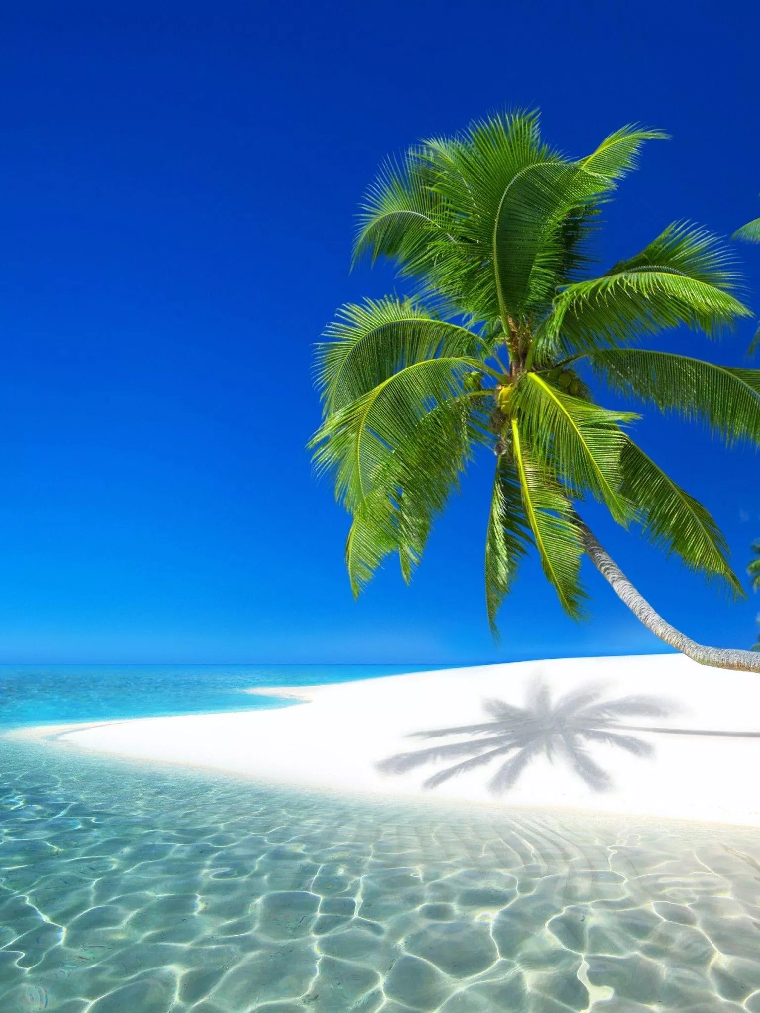 iPhone 8 Beach Wallpaper Free