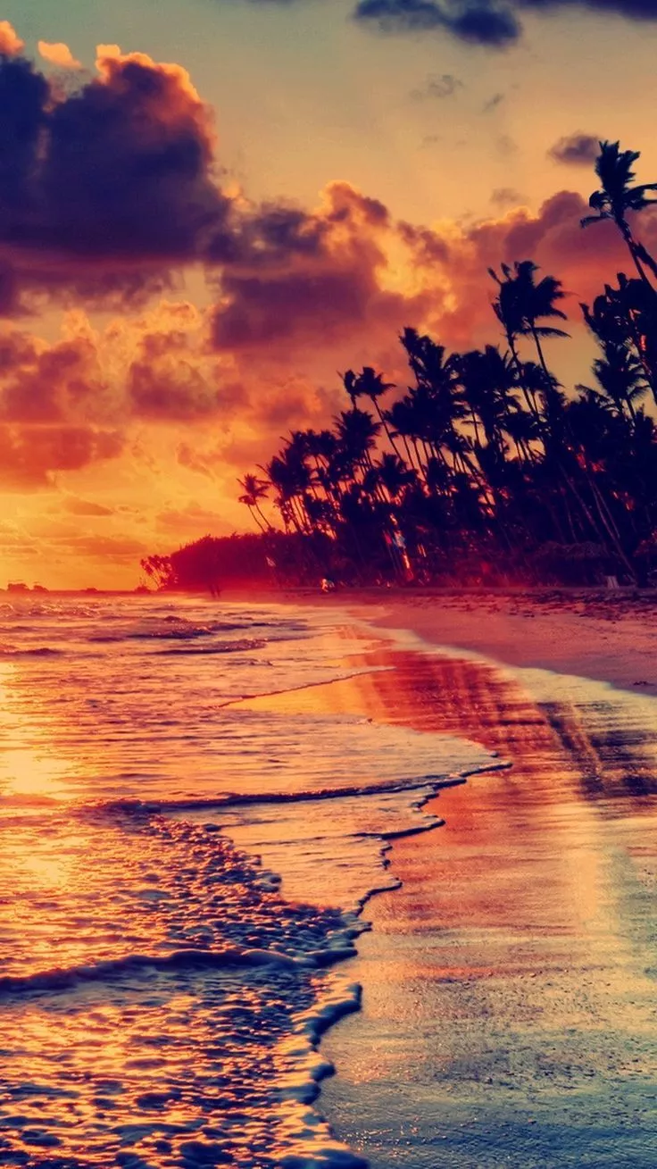 Nature Fire Sunset Beach iPhone 8