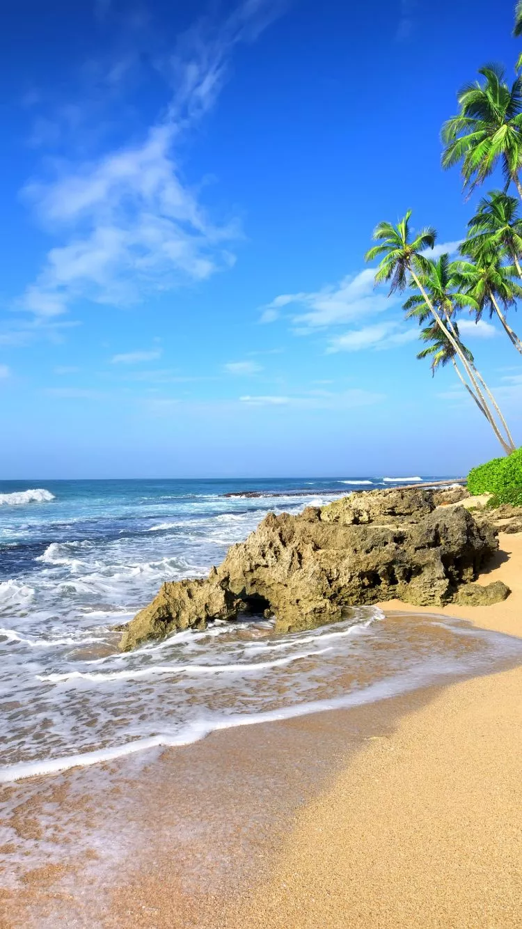 Download wallpaper 750x1334 beach, sea