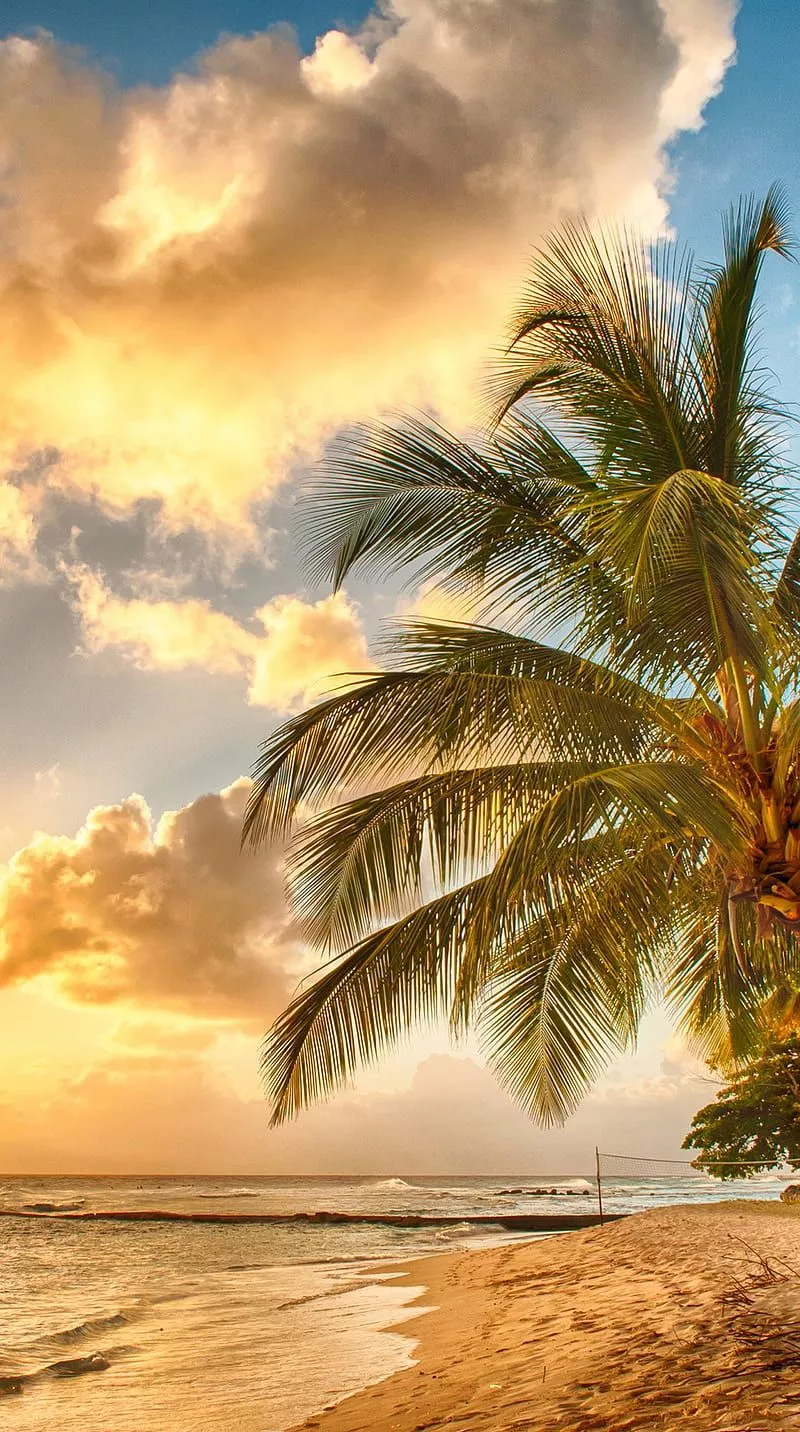 Beach, sea, HD phone wallpaper