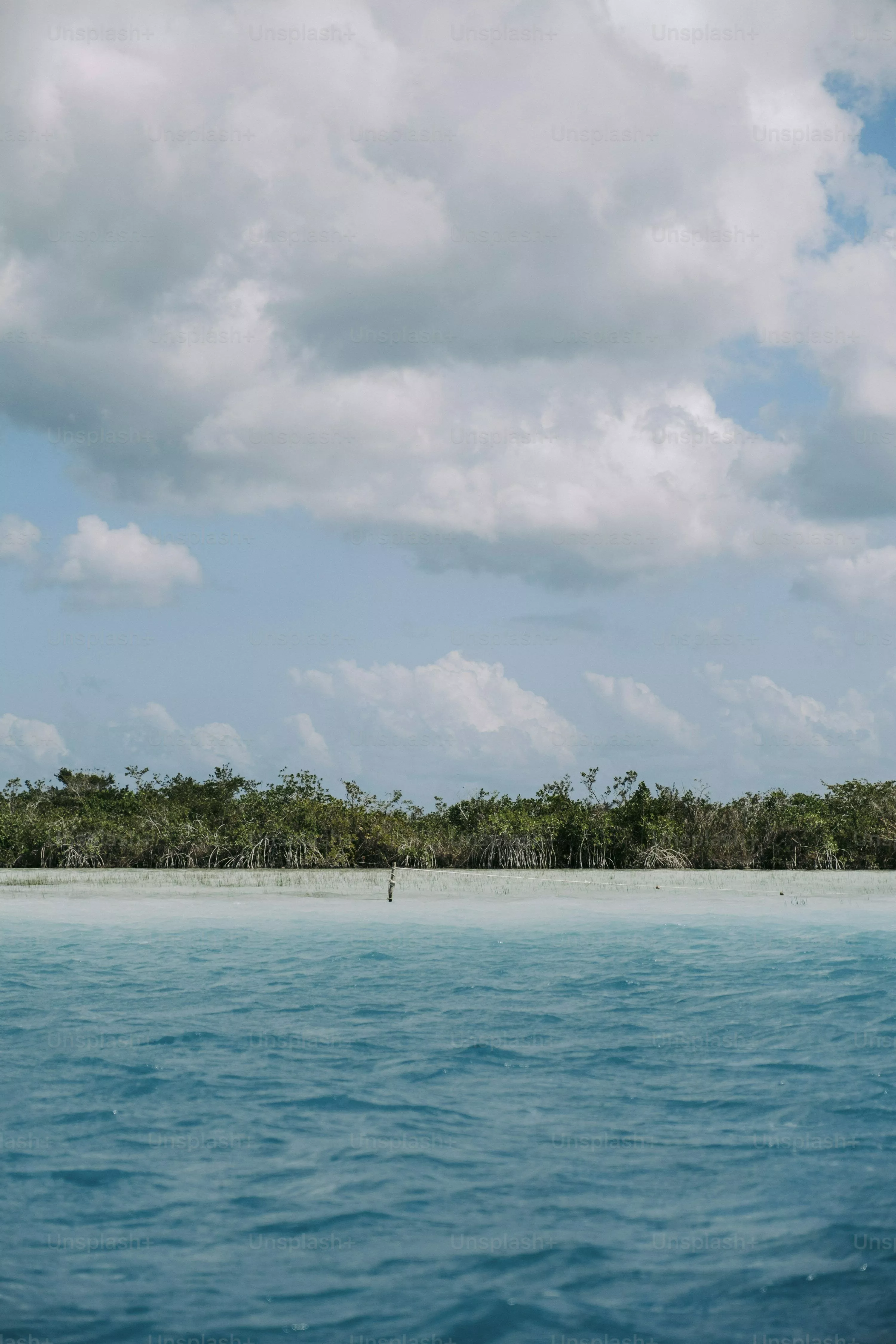 Cancun Beach Picture. Download Free