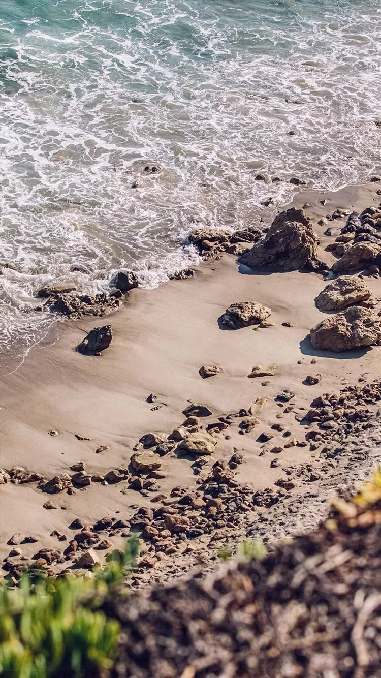 Sea Beach Nature Water Summer iPhone 8