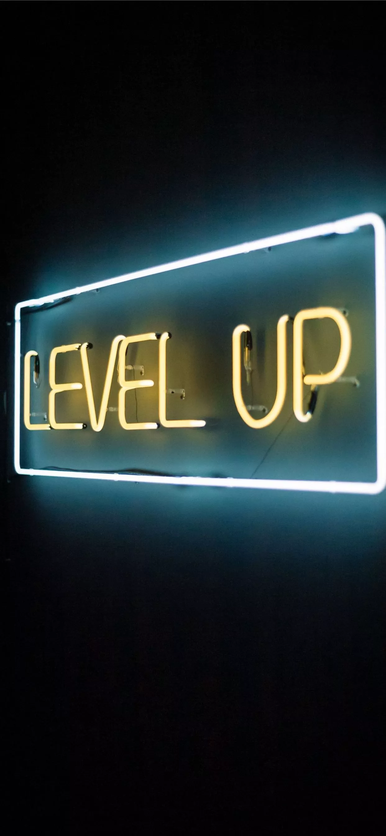 LED lights iPhone 11 Wallpaper