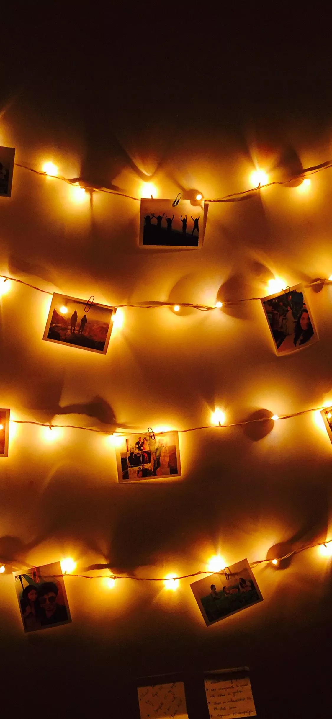 Nature Room Love Photo