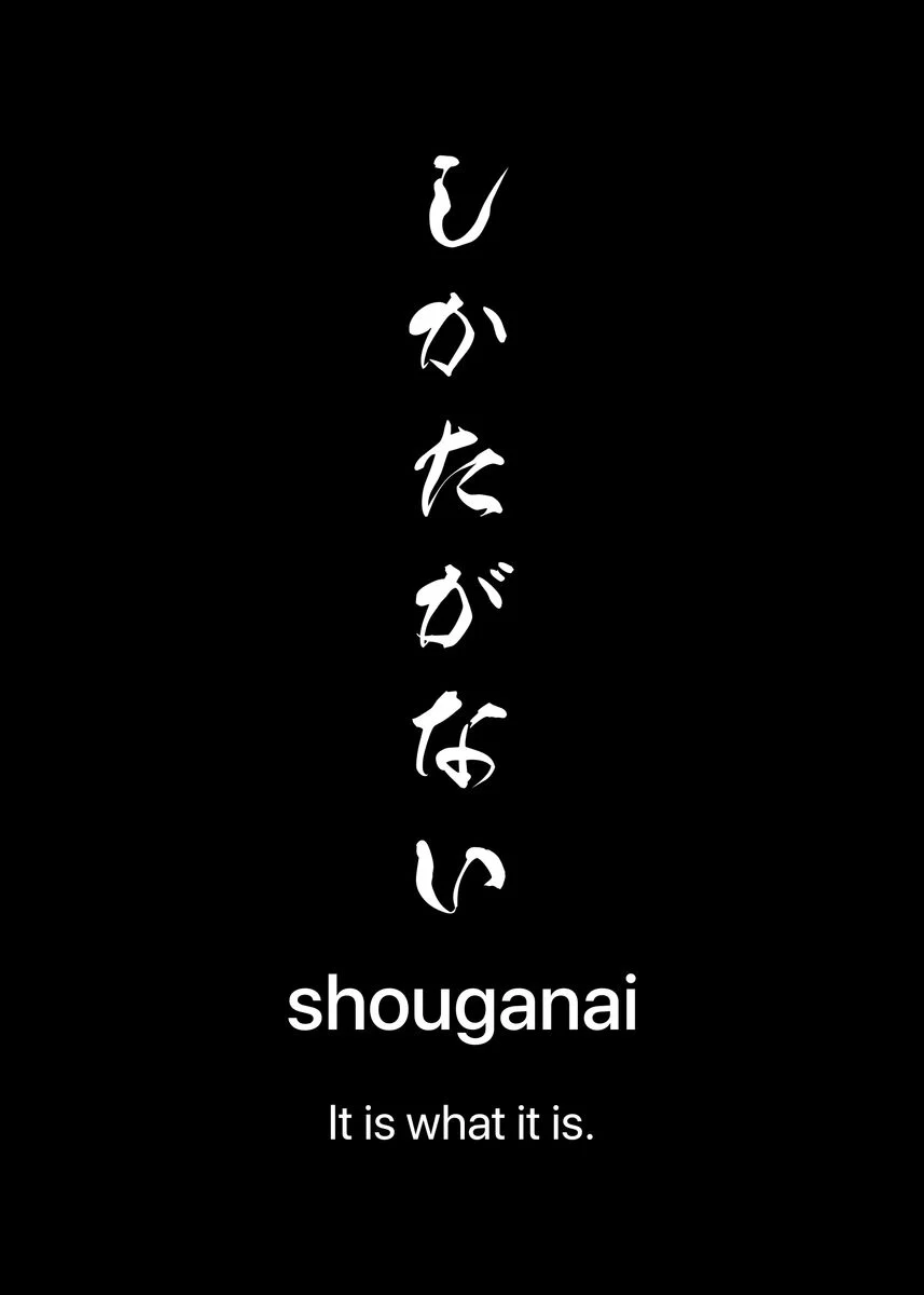 Shouganai Japanese Calligraphy