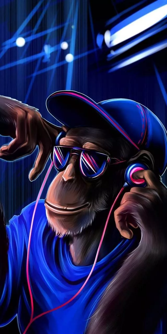 Dj Monkey wallpaper