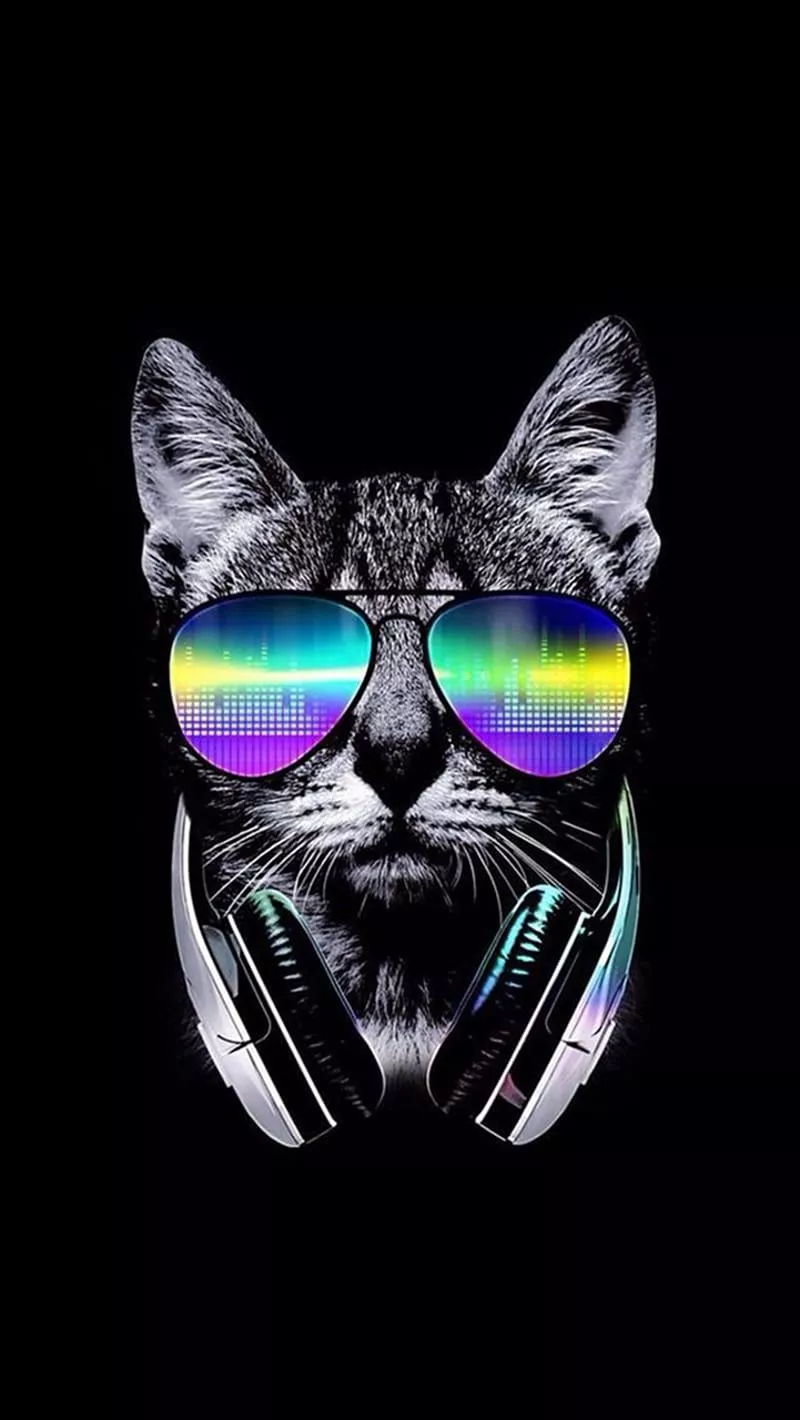 Cat dj, cat, music, music, planet