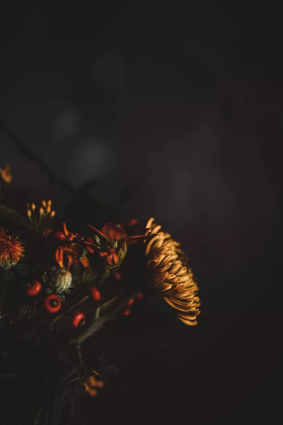 1080P, 2K, 4K, 5K HD wallpaper