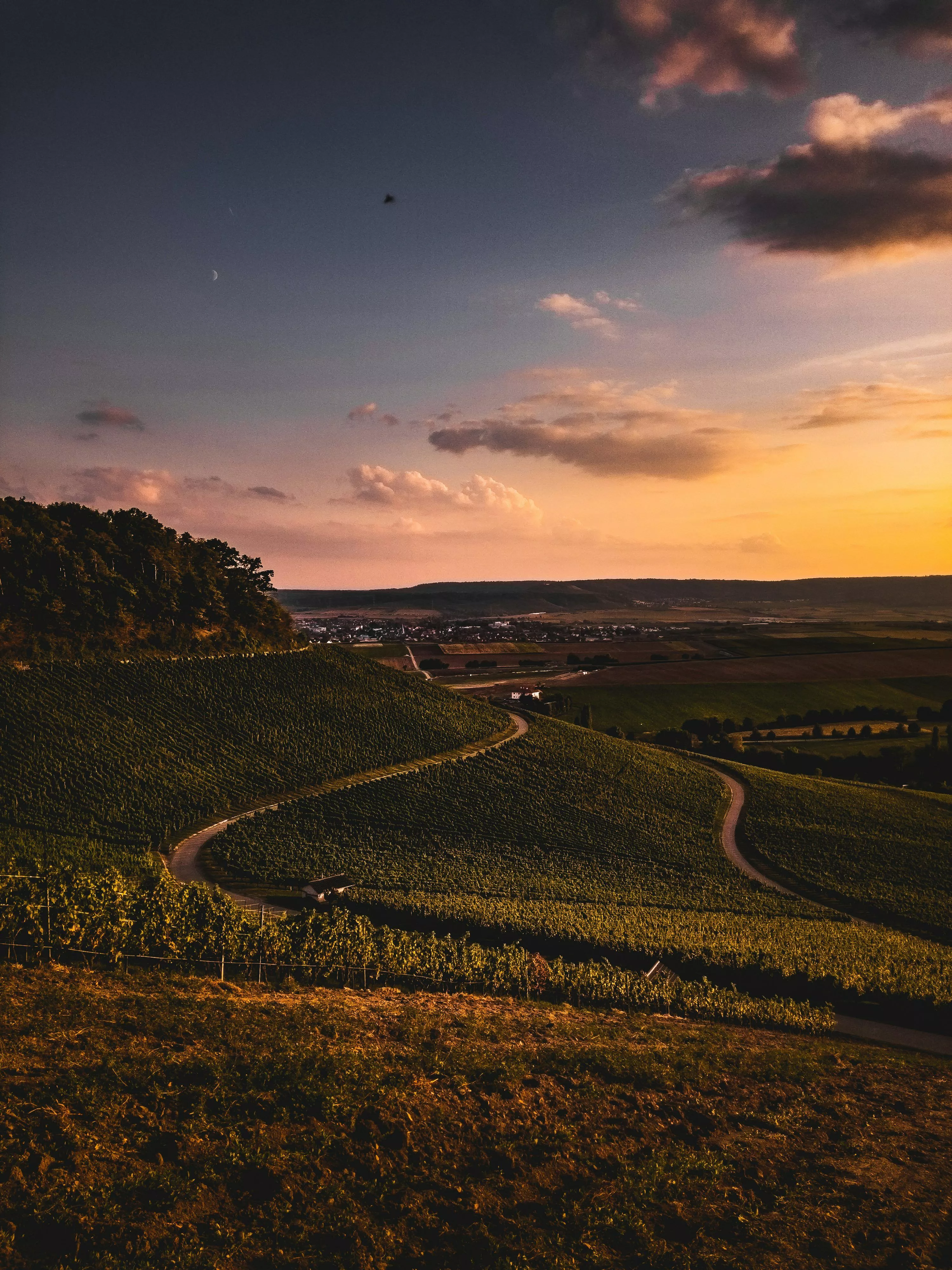 Warm Tone Picture. Download Free