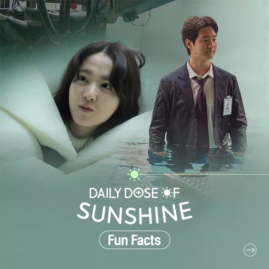 Daily Dose of Sunshine Photo