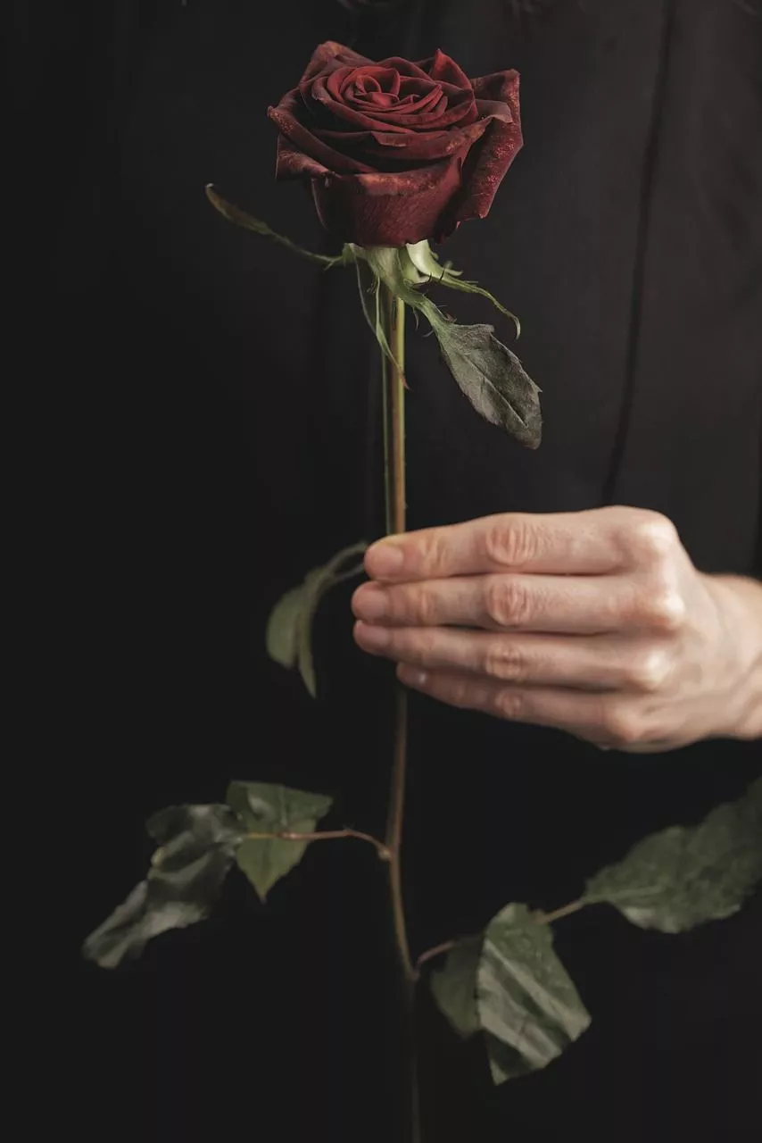 Red Rose In Hand & Rose Image