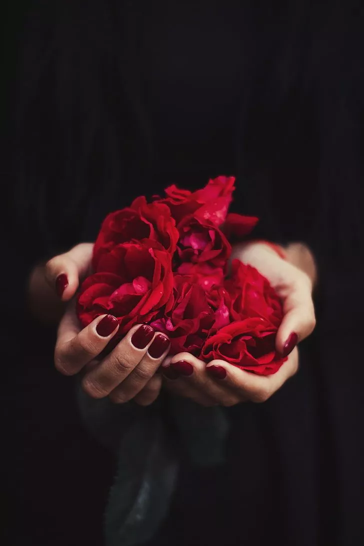 HD wallpaper: hands, rose, petals, red
