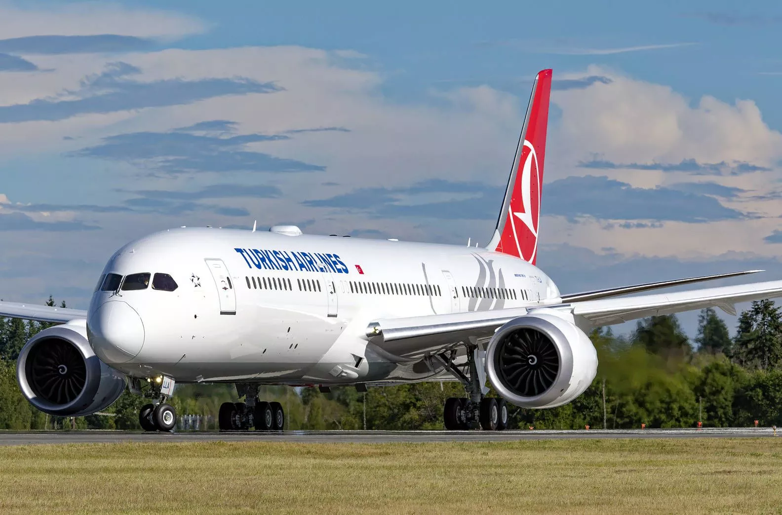 Majestic Beauty Of Turkish Airlines
