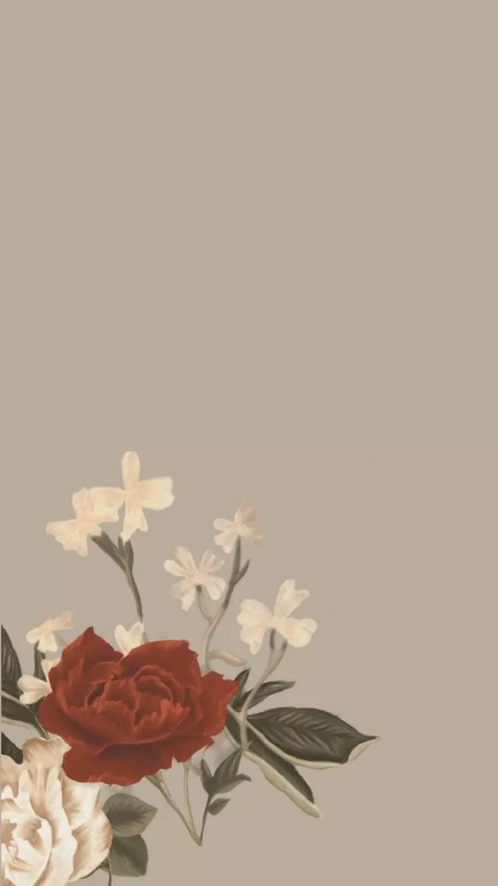 Download Shawn Mendes Wallpaper