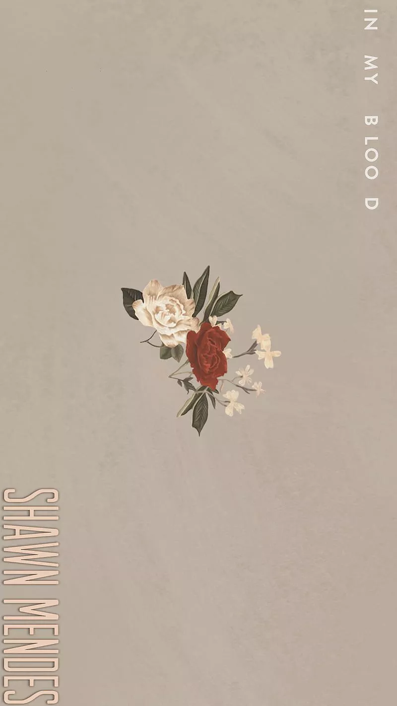 Shawn Mendes, in my blood, HD phone