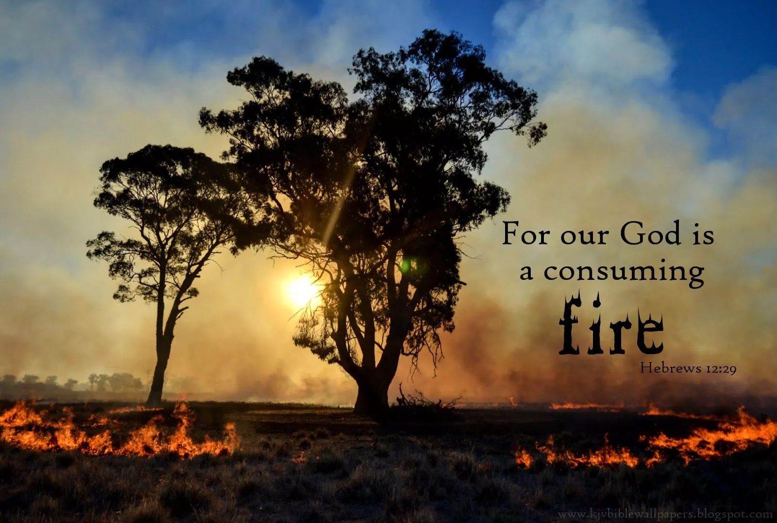 KJV Bible Wallpaper: Hebrews 12:29