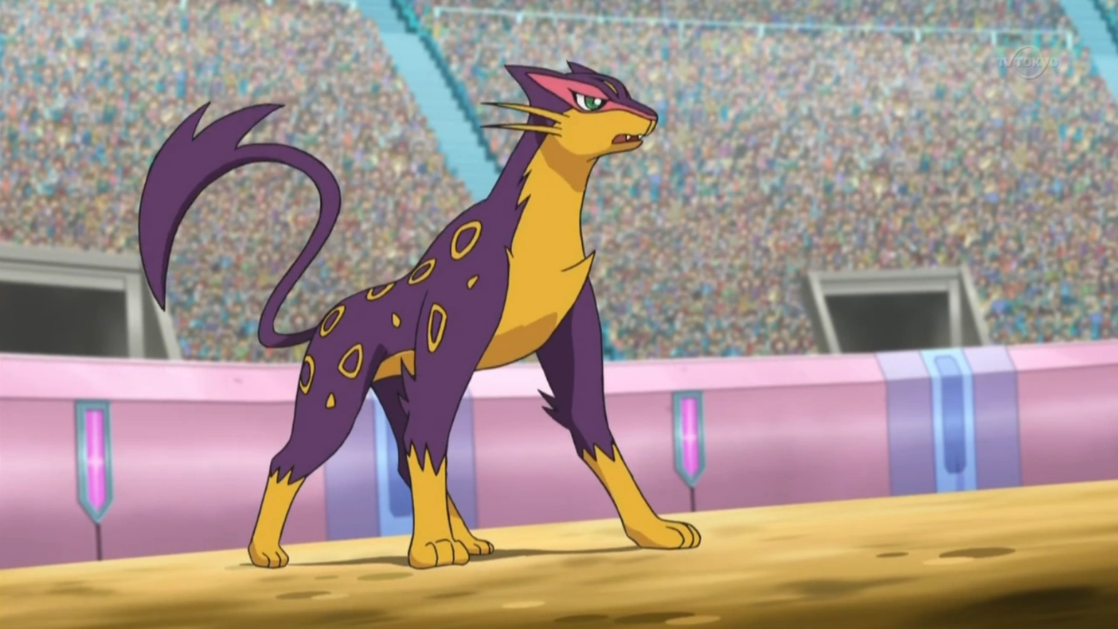 Stephan's Liepard. Pokémon