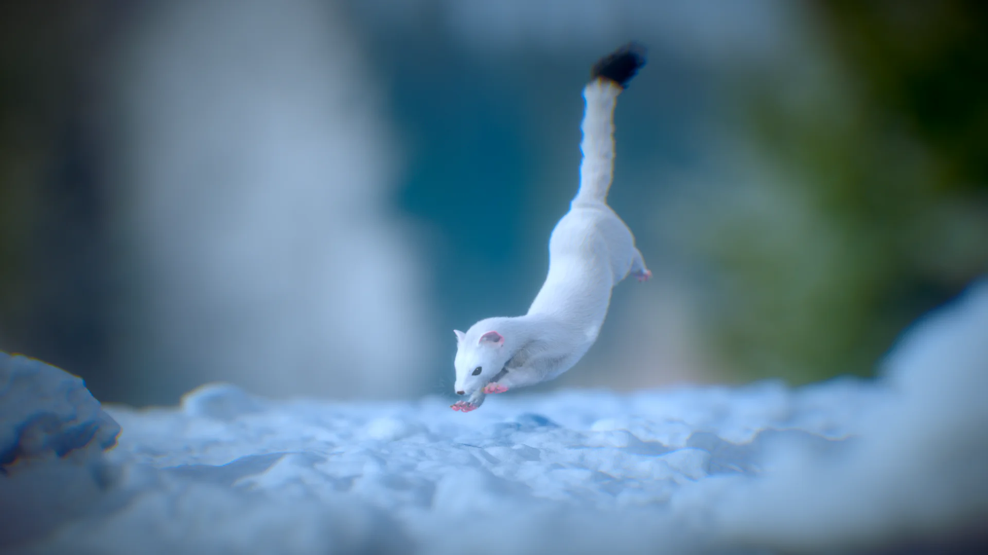 The Rookies work of a second year