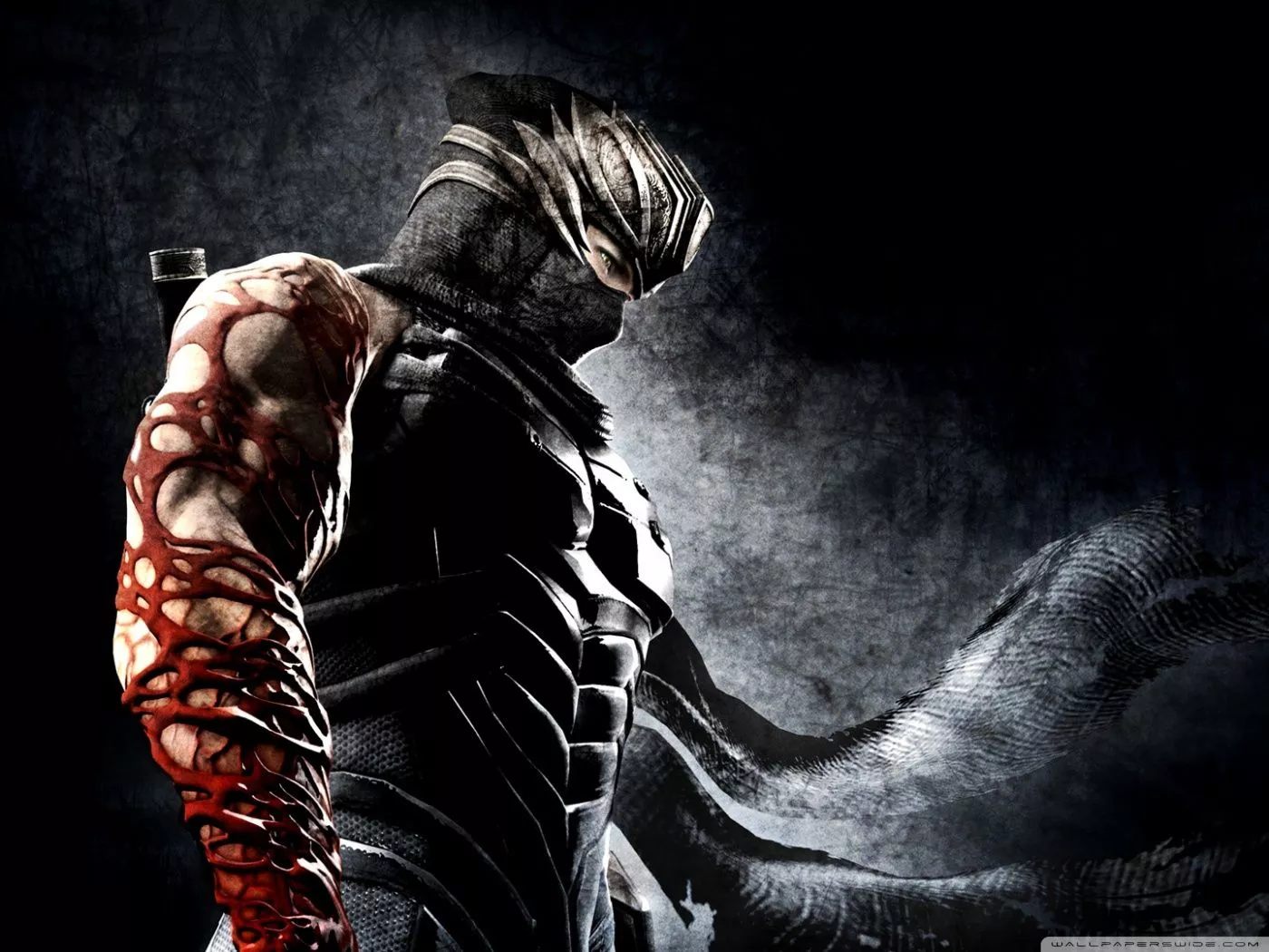 Ninja Gaiden 3 Ultra HD Wallpaper