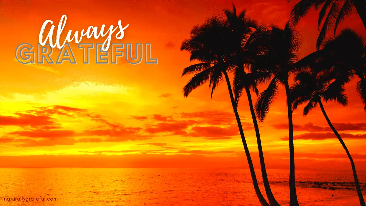 Always Grateful Background