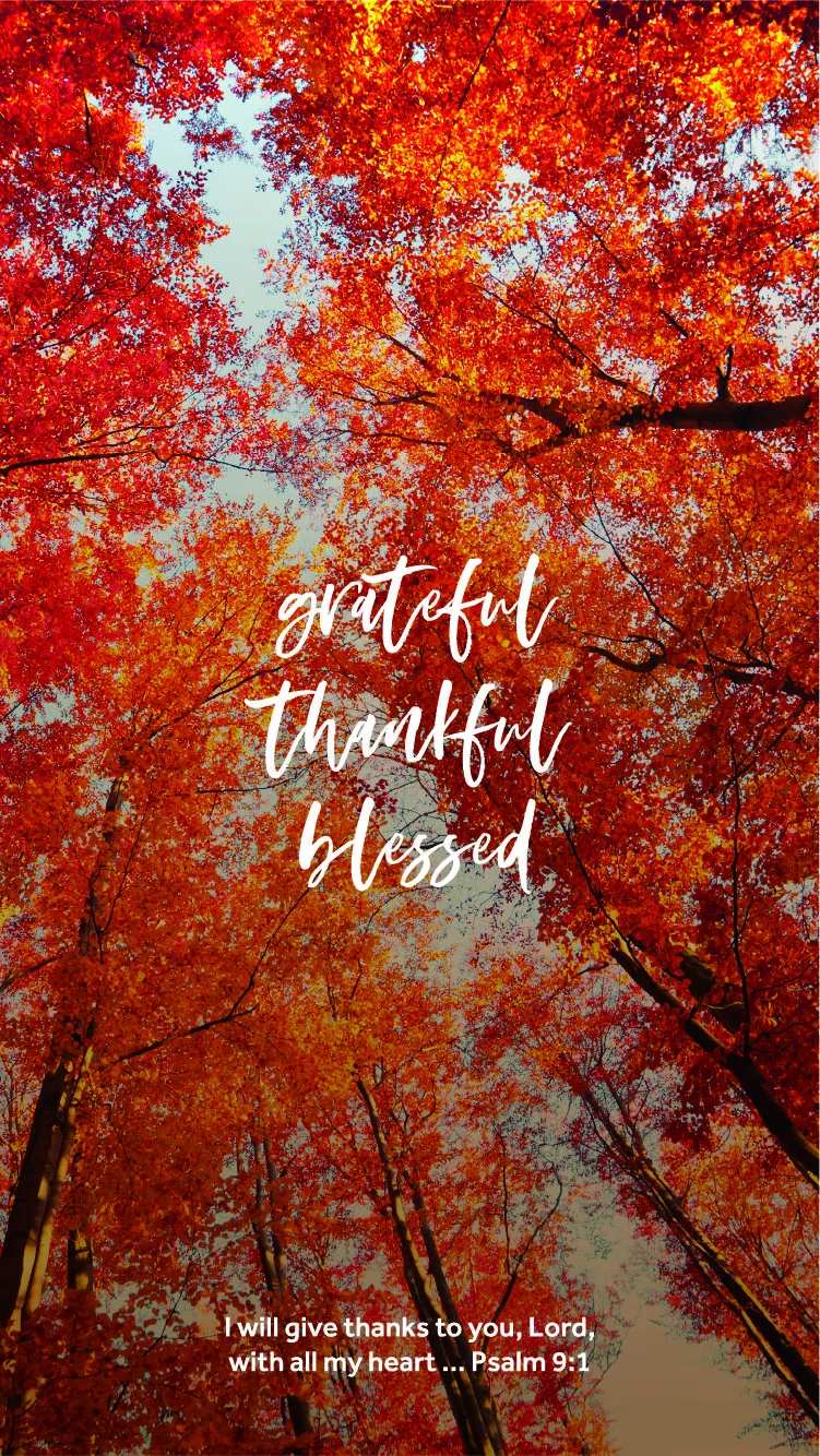 This Thanksgiving, We're Grateful