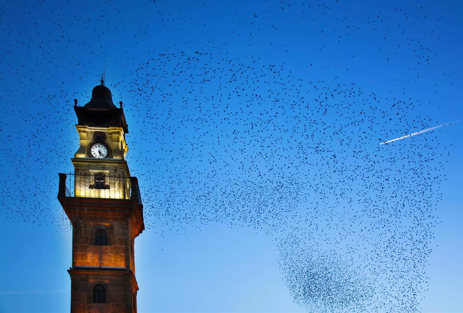 vibes for Yozgatürkiye