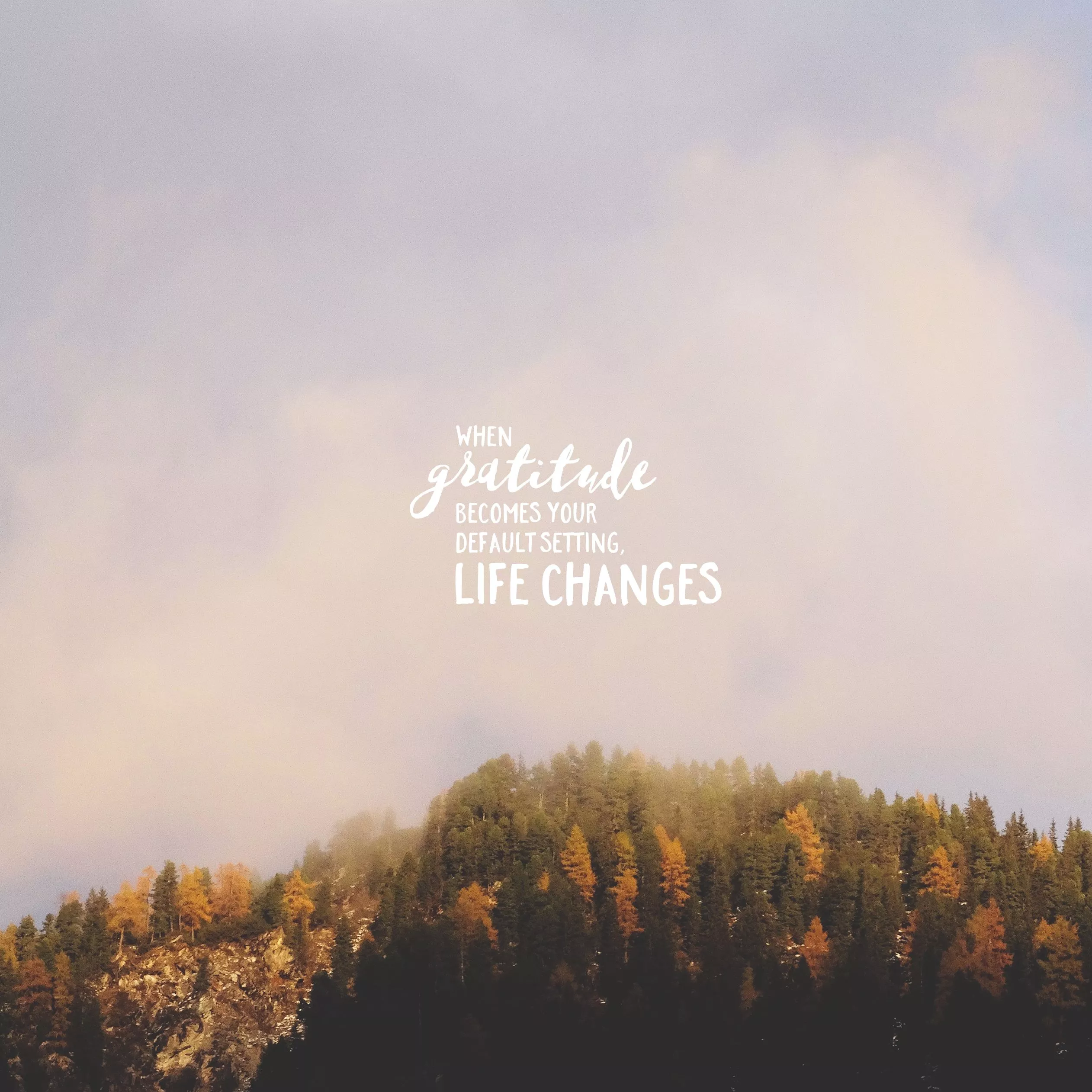 Wednesday Wallpaper: Gratitude is Life