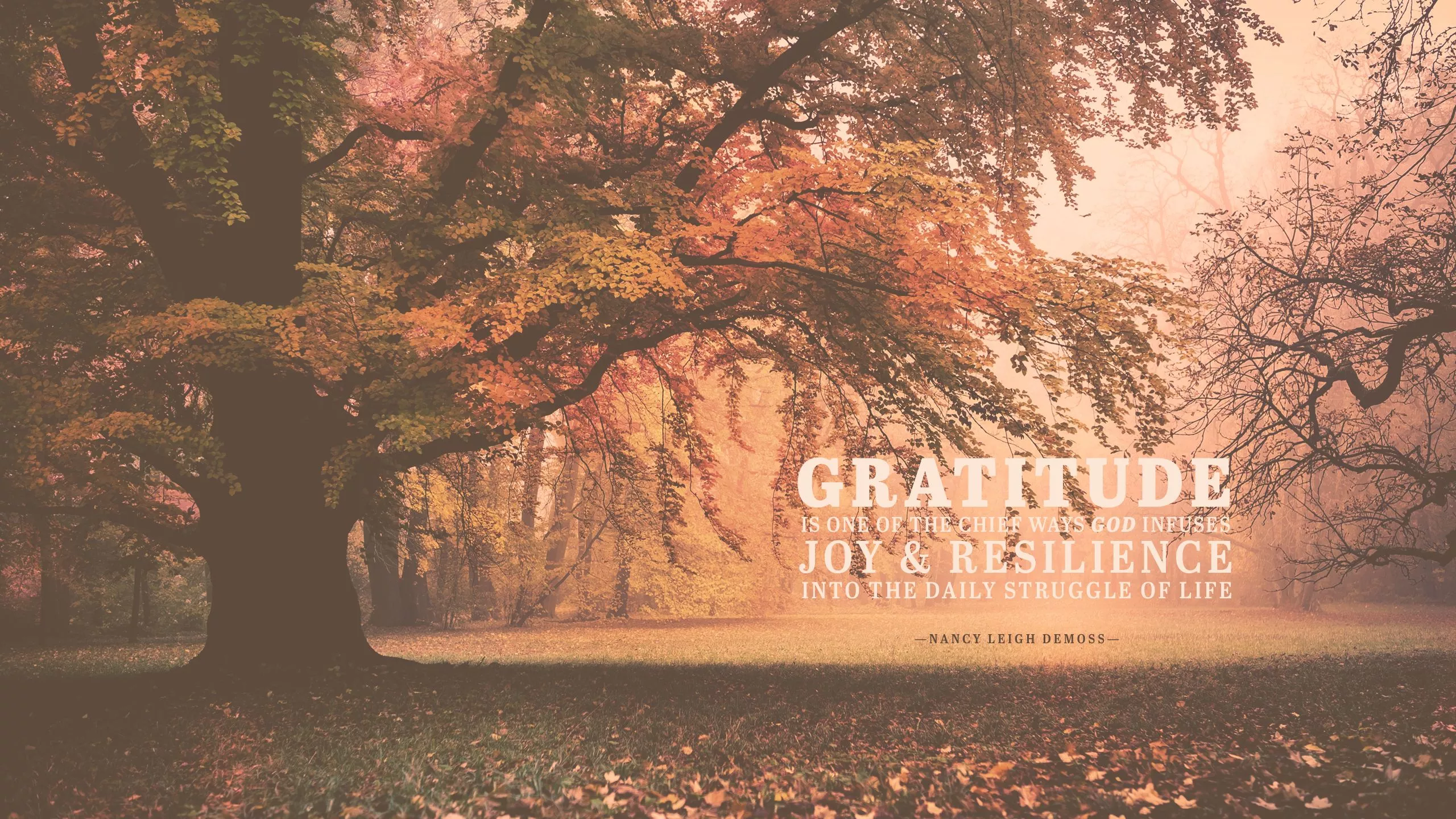 Wednesday Wallpaper: Gratitude Brings