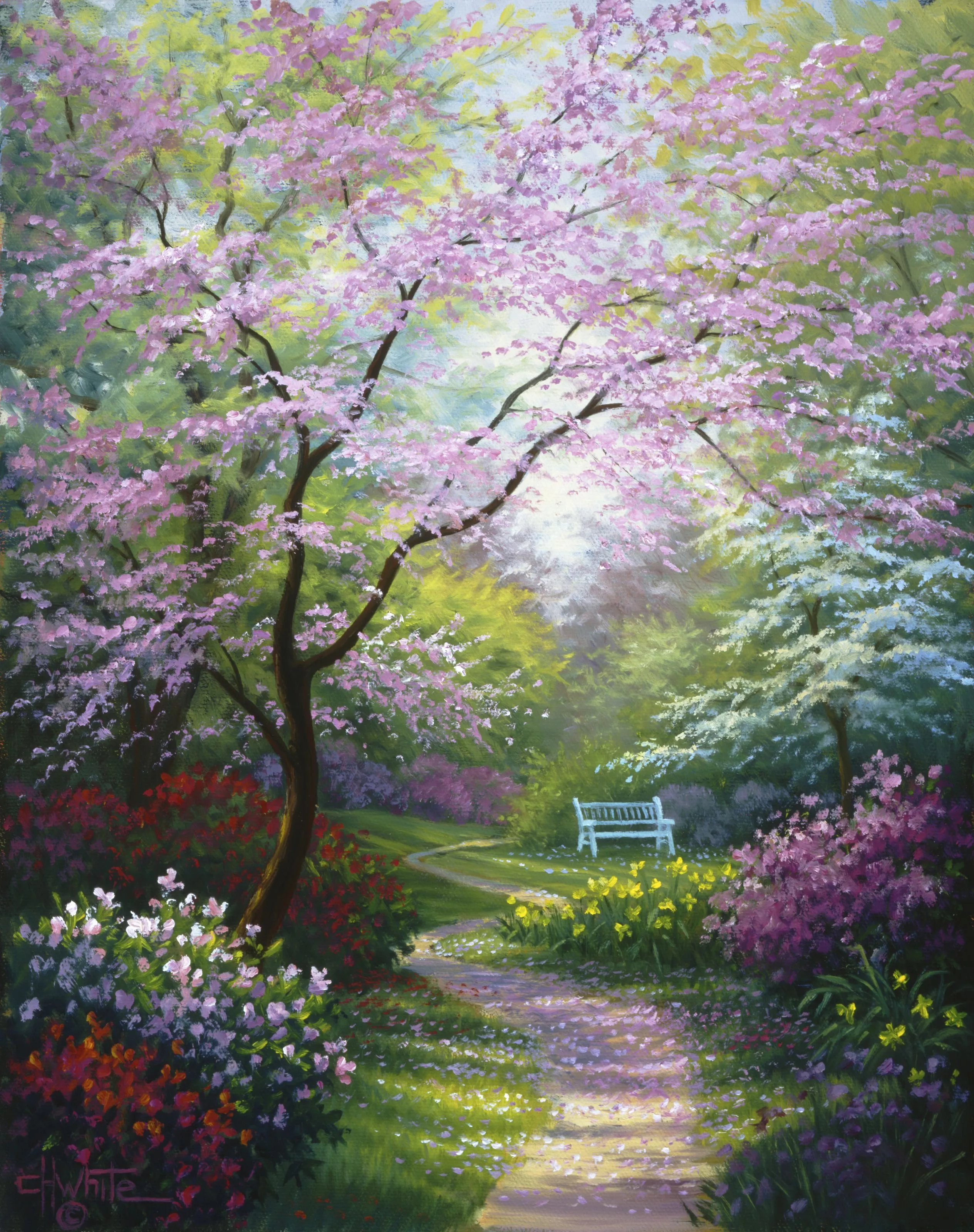 Spring Blossoms Wallpaper Mural