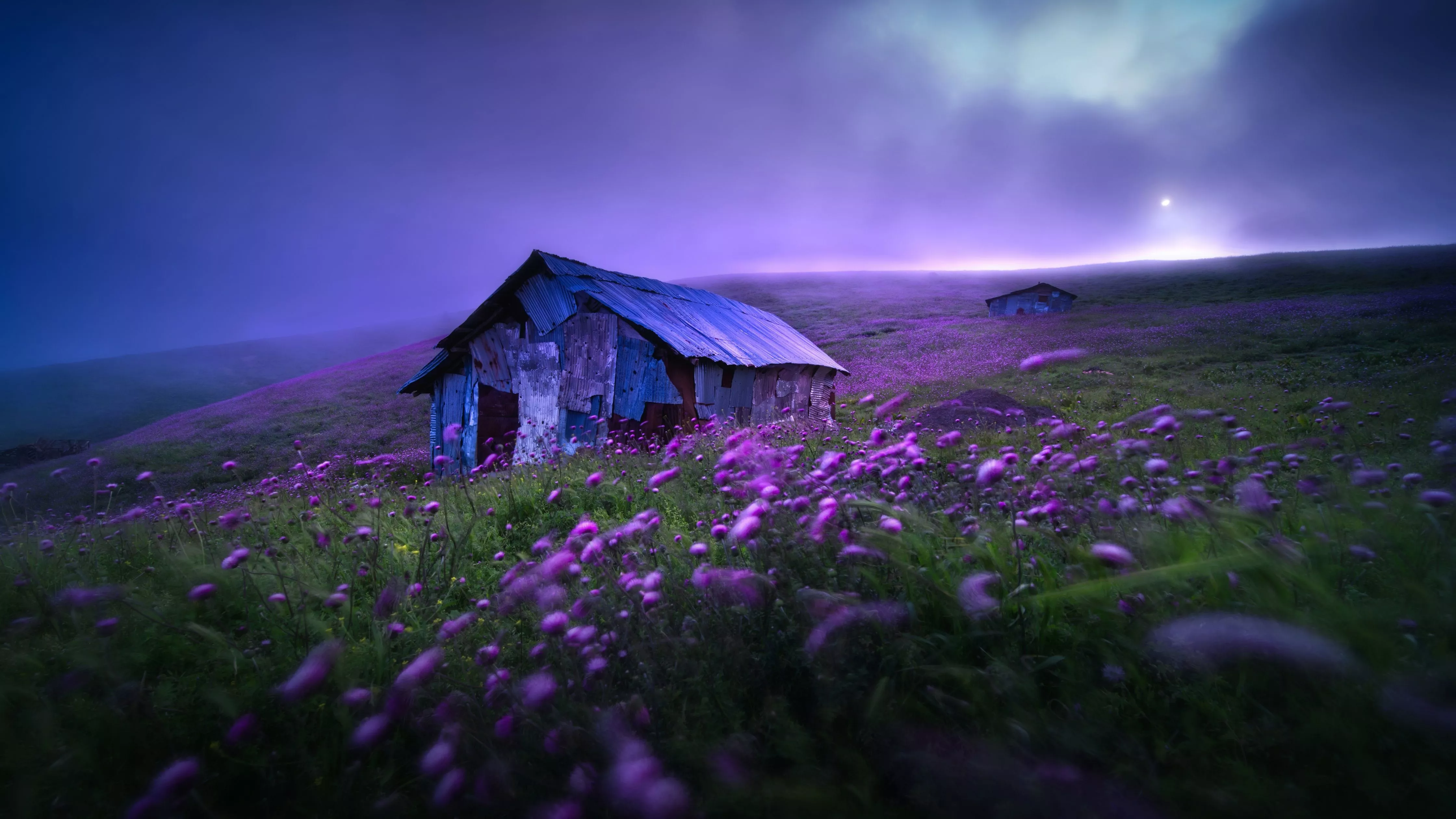 Landscape Wallpaper 4K, Spring, Violet