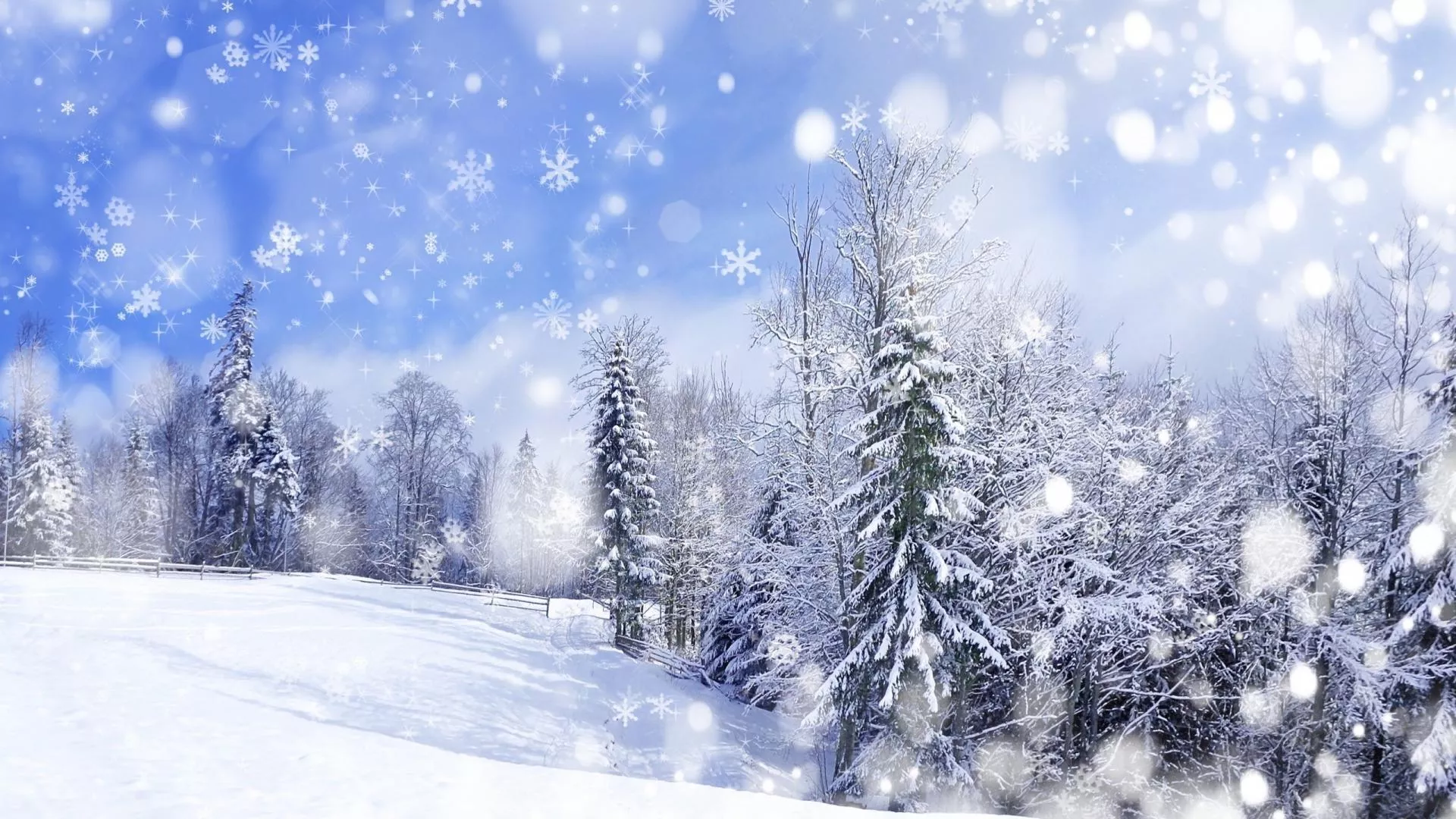 Winter Scene Wallpaper Free