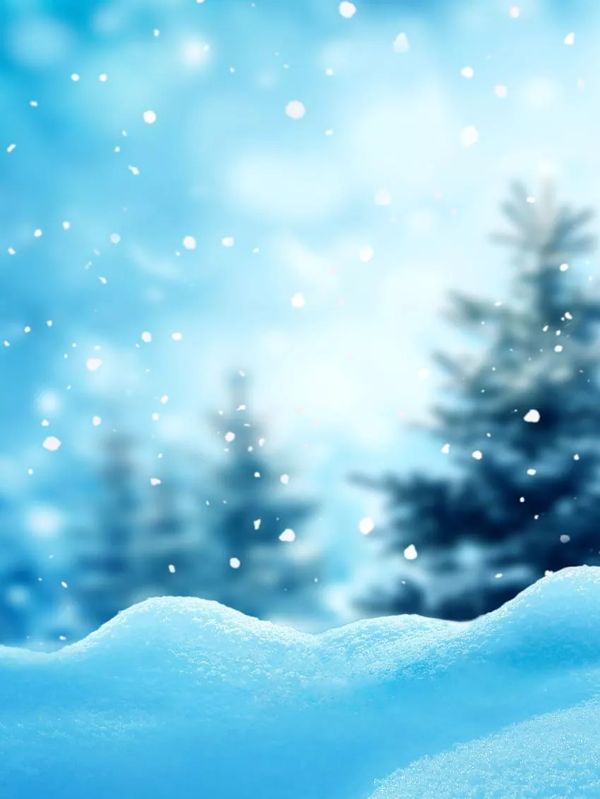 Winter Colors on Dog, preppy winter HD phone wallpaper