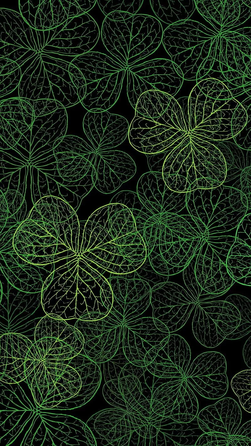 Clover Grove, clover, st patricks day