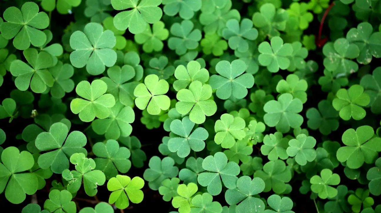 Day 2025 at The Delaware Beaches