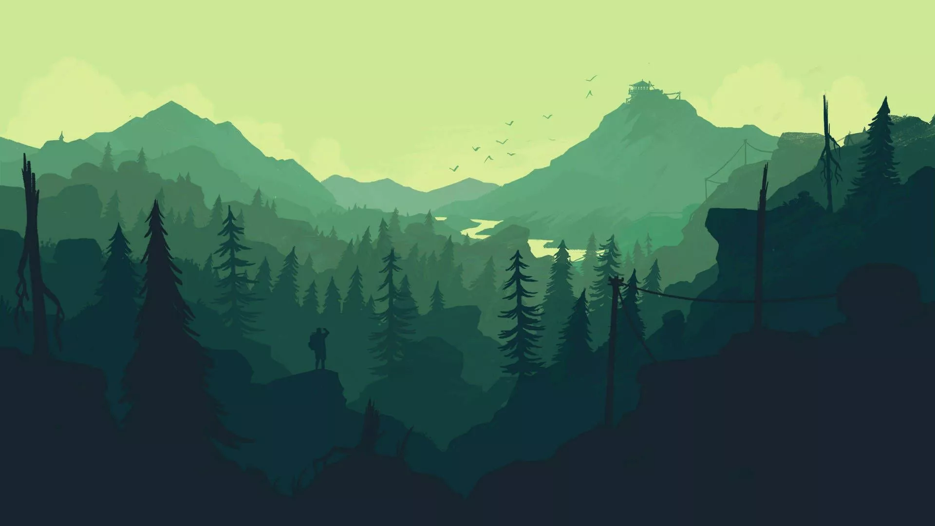 4k Minimalist Green Aesthetic Forest