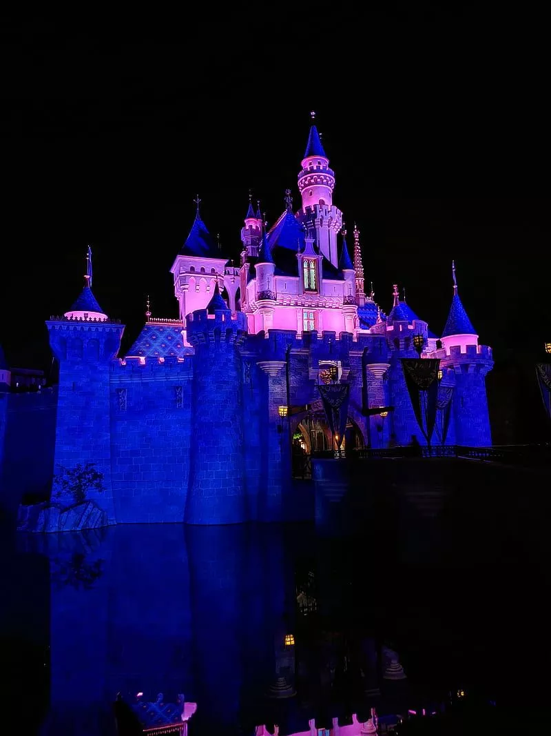 Disney Castle, night, HD phone