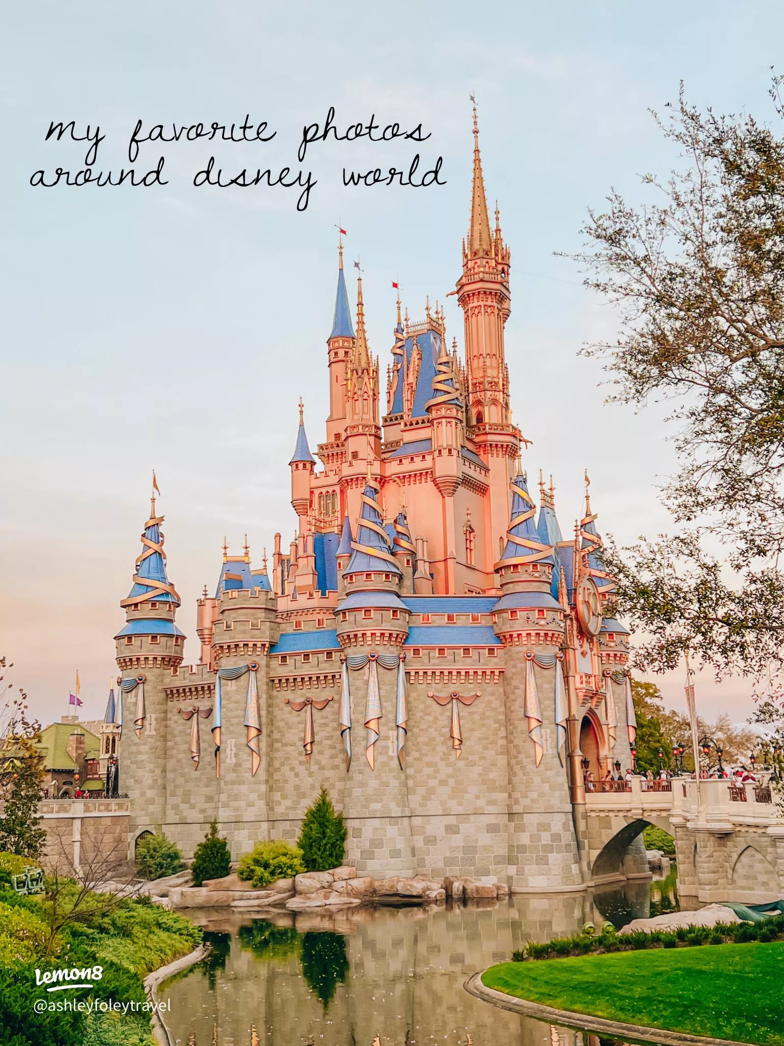 Some of my favorite Disney photo