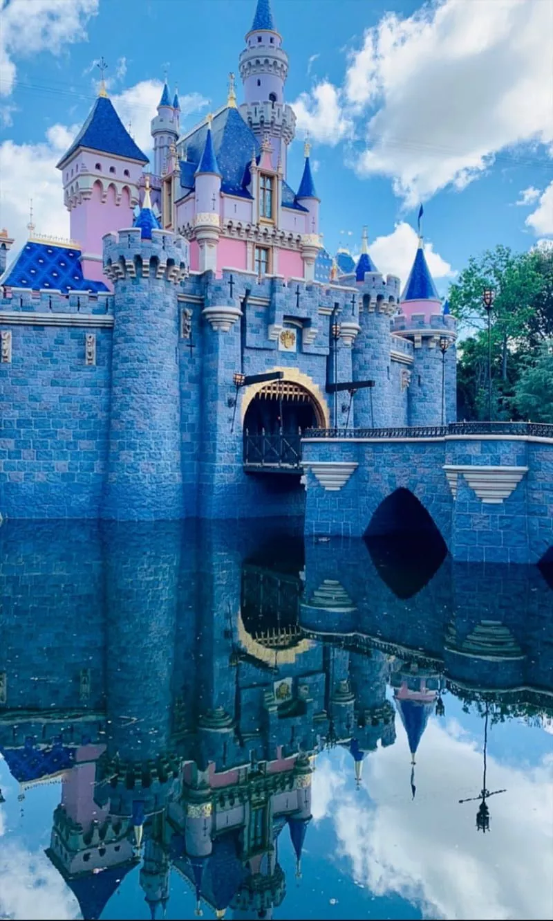 disneyland castle, HD phone wallpaper