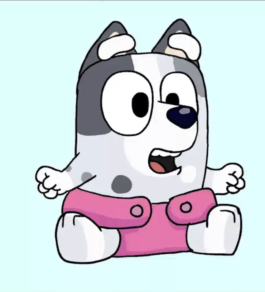 Baby Muffin, muffin heeler bluey HD