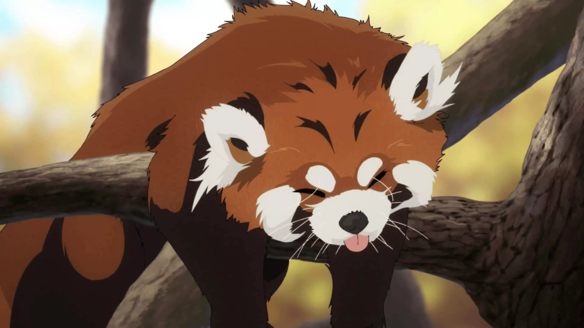 Cute Red Panda Picture