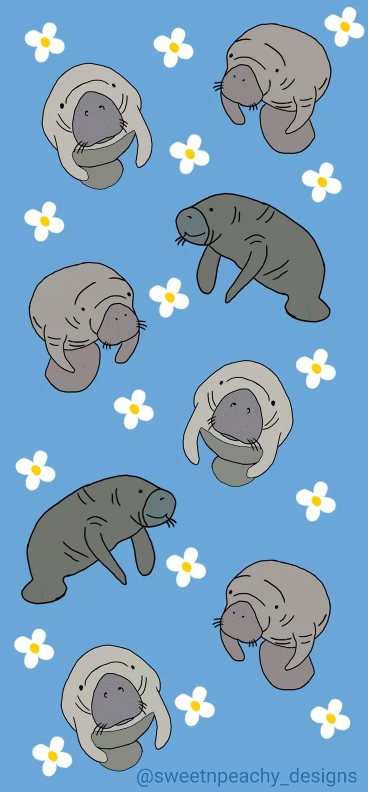 Manatee drawing background
