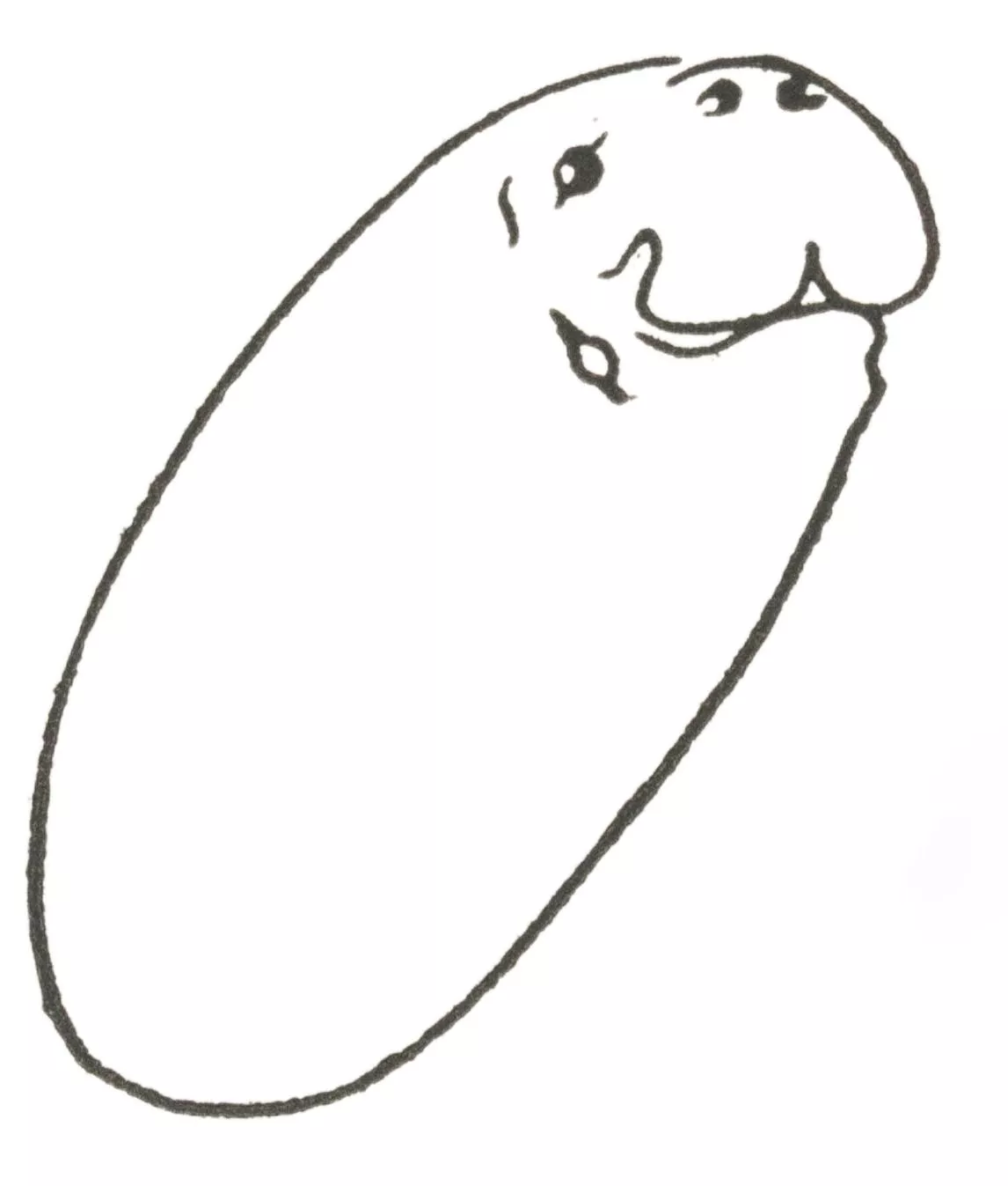 Draw Manatee (Easy Step by Step!)