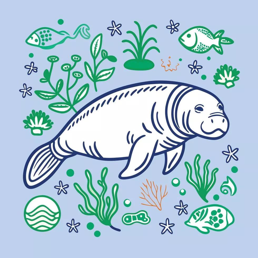 Manatee Florida Vector Art