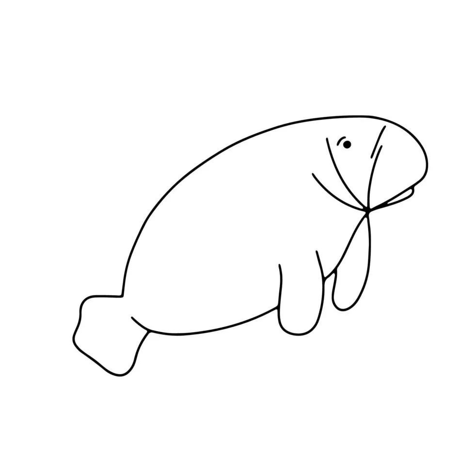 Manatee Outline Vector Art, Icon