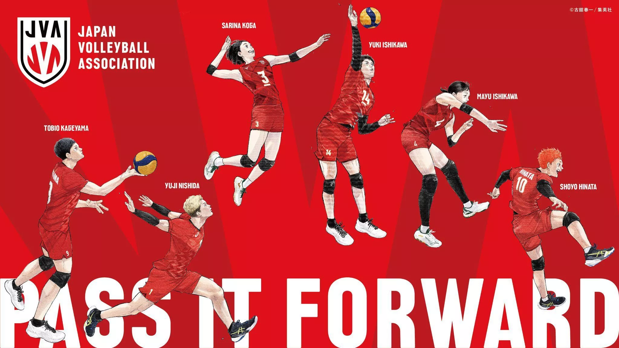 national volleyball team collaboration