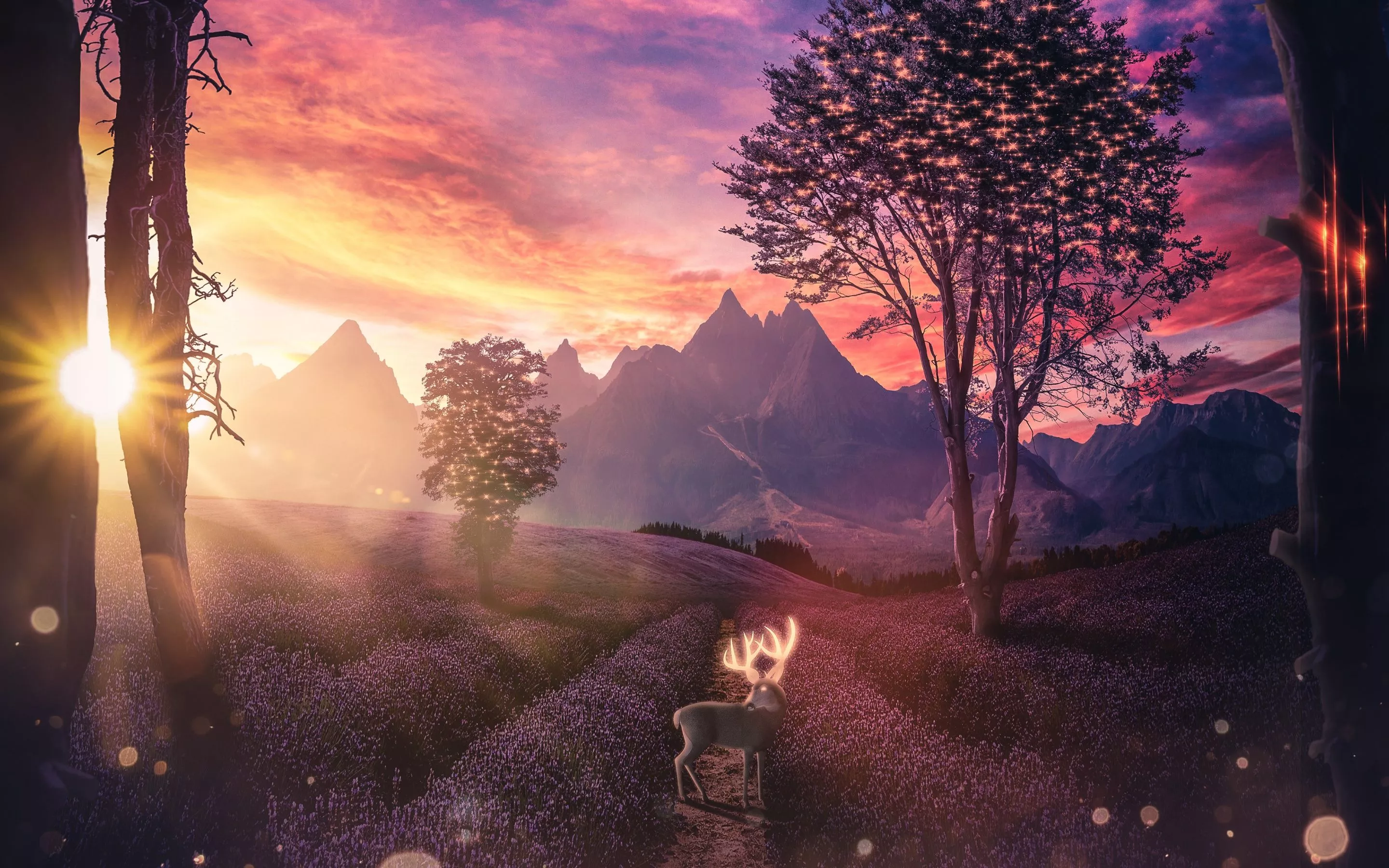 Deer Wallpaper 4K, Lavender fields, Sunset